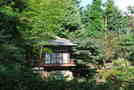 次の写真のサムネイル：日本庭園